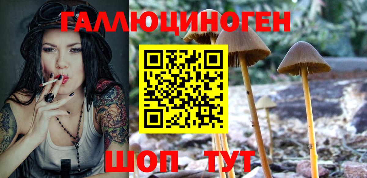 Галлюциногенные грибы мухоморы Майкоп