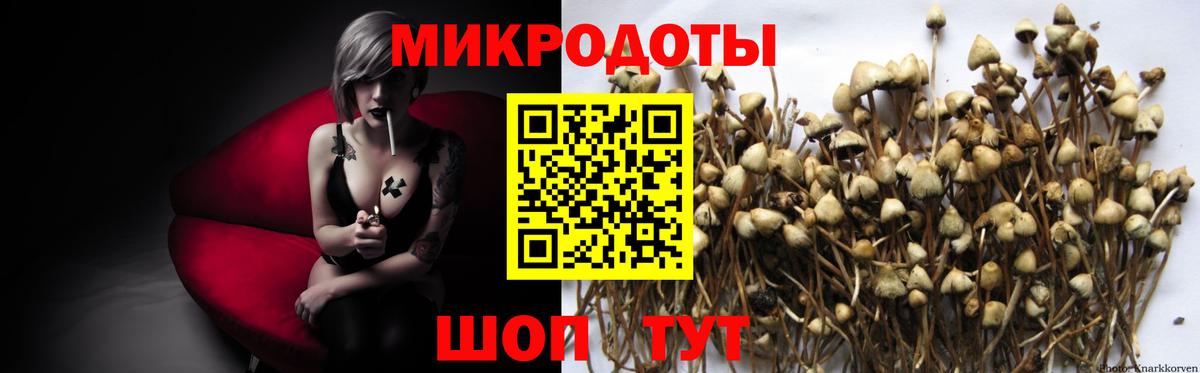Псилоцибиновые грибы Magic Shrooms  Псилоцибиновые грибы MAGIC MUSHROOMS  Вход с VPN  Майкоп 